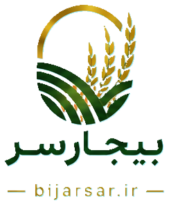 فروشگاه برنج بیجارسر